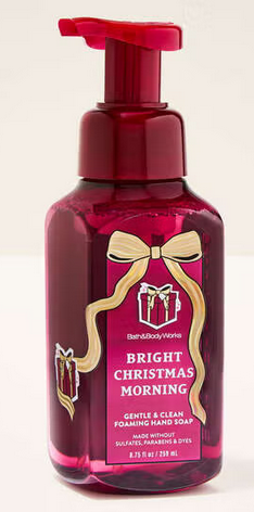 Bright Christmas Morning Gentle & Clean Foaming Hand Soap