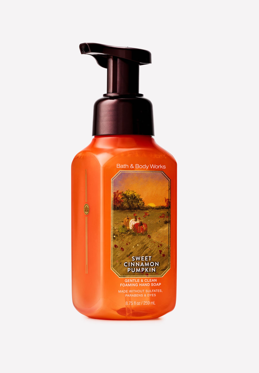 Sweet Cinnamon Pumpkin Gentle & Clean Foaming Hand Soap