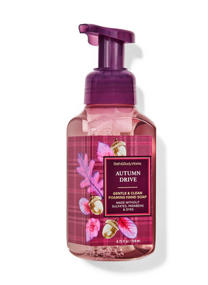 Autumn Drive Gentle &amp; Clean Foaming Hand Soap
