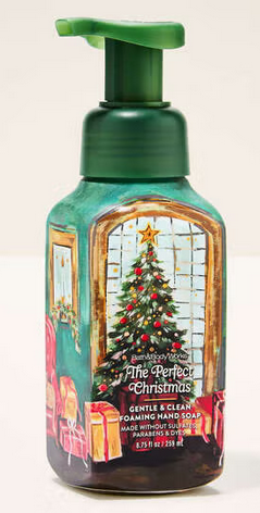 The Perfect Christmas  Gentle &amp; Clean Foaming Hand Soap