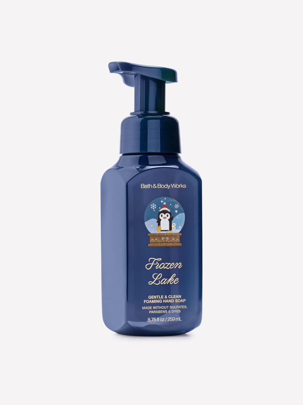 Frozen Lake Gentle &amp; Clean Foaming Hand Soap