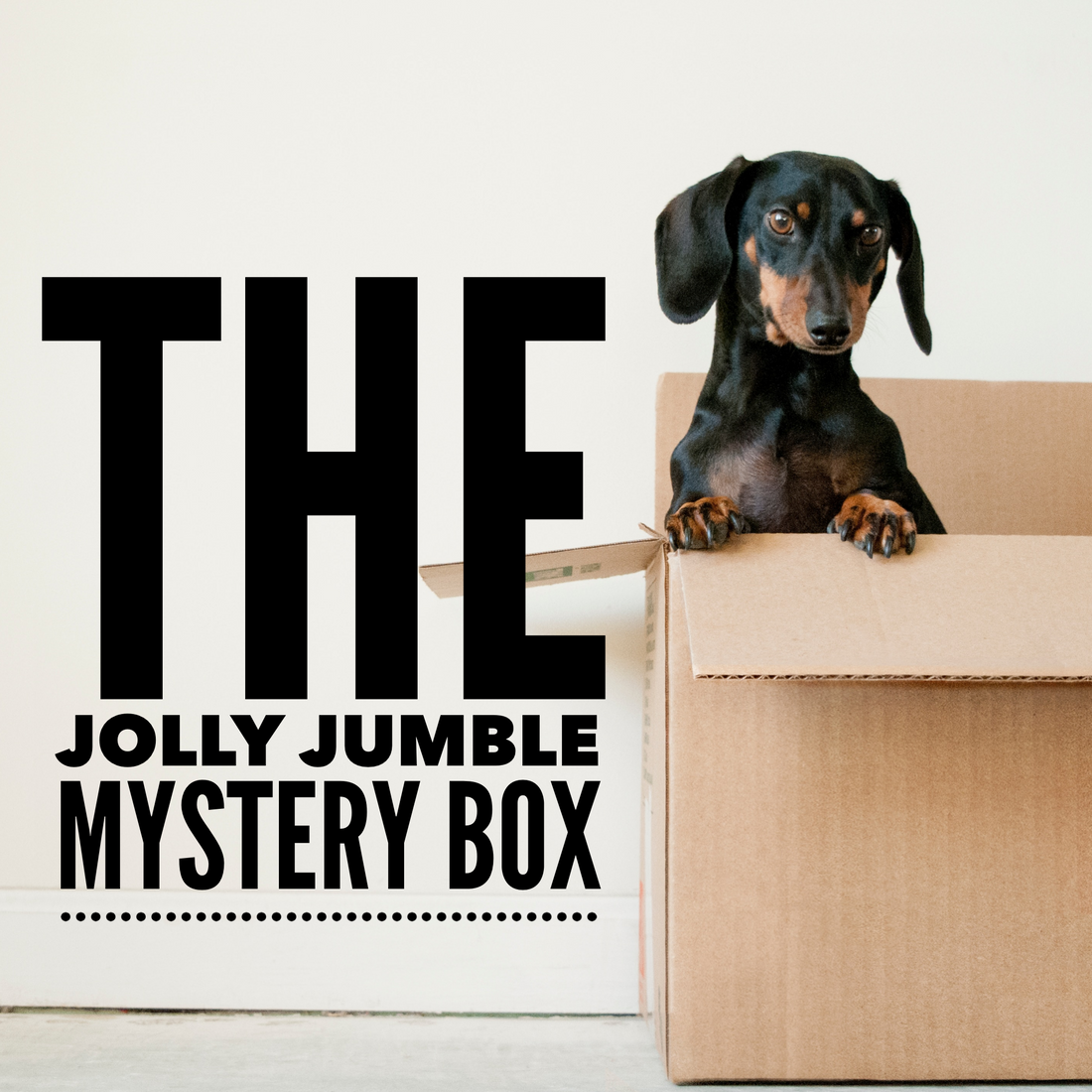 The Jolly Jumble Mystery Box